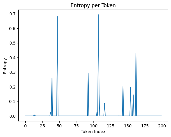 Entropy per Token